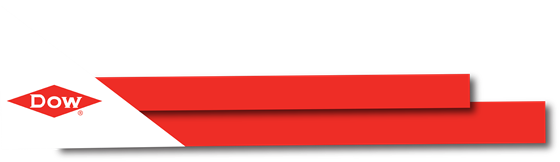 Graphics : Sample Lower Third