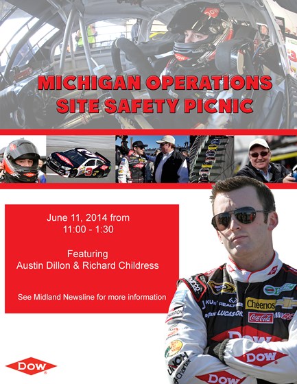 Posters: Poster Design for Michigan Operations' Safety Picnic